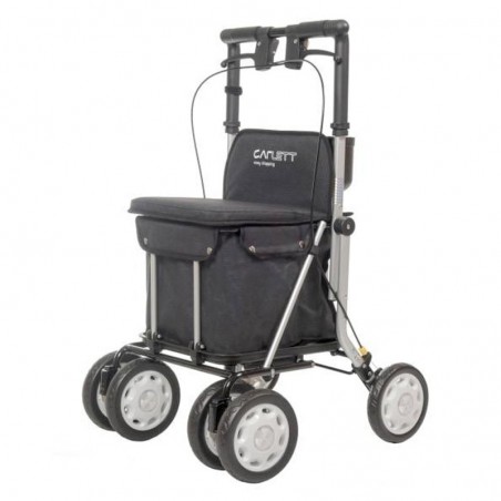 Déambulateur et chariot de course
