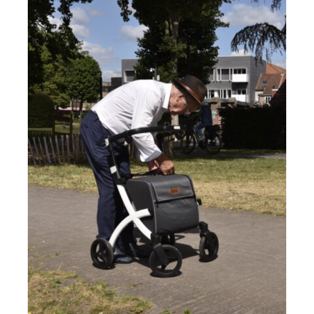Déambulateur Rollz Flex Standard – Caddy de course élégant avec grand sac 25L