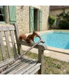 Canne de marche Sous-Bois réglable près de la piscine. Motif animaux pour la nature.