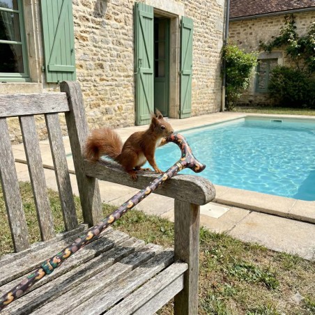Canne de marche réglable et remboursable près de la piscine. Motif animaux pour la nature.