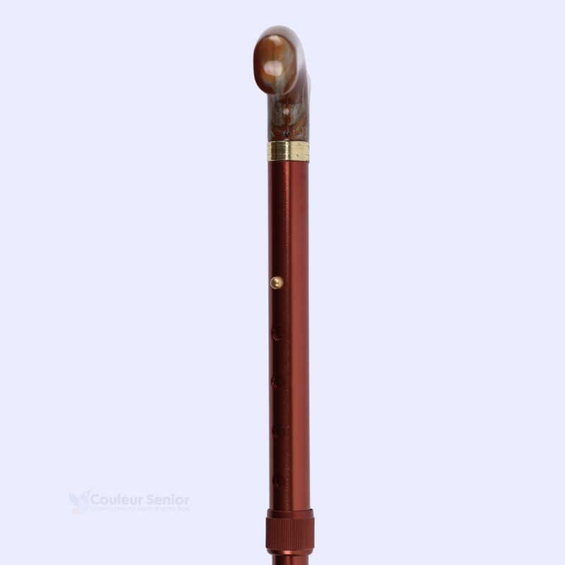 Canne réglable en bronze d’aluminium élégante. Poignée T à effet nacré. Accessoire de luxe idéal pour homme et femme.