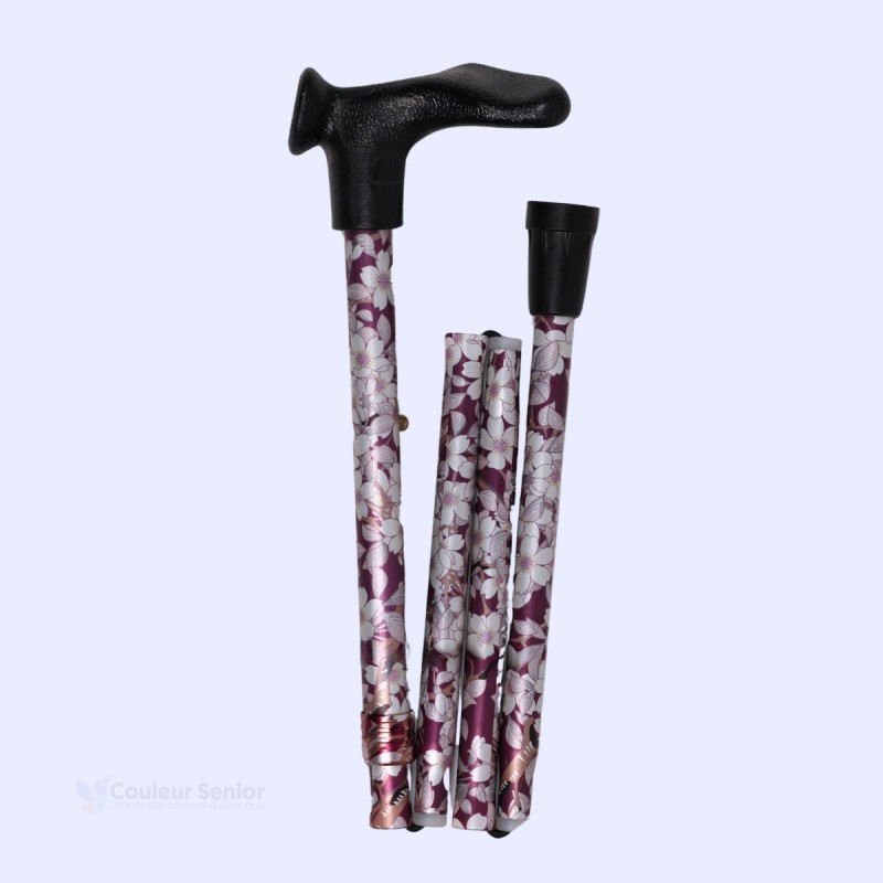 Modèle pliant floral rangé. Merveilleuse idée de cadeau remboursable pour une femme senior.
