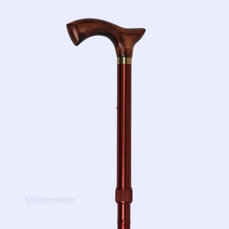Profil de cette canne de marche  en bronze. La poignée en bois assure une marche en toute sécurité.