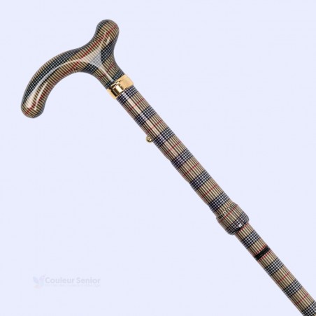 Vue diagonale : canne de marche originale, détails bronze de luxe et poignée T élégante.
