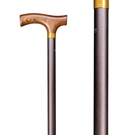 Belle canne de marche en aluminium bronze avec poignée en bois dur. Un appui très solide.