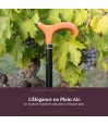 Canne de marche en bois dans les vignes françaises.