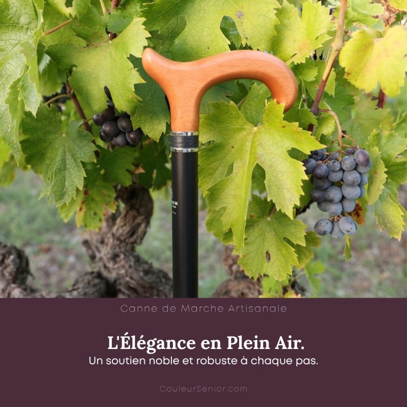 Canne de marche en bois dans les vignes françaises.