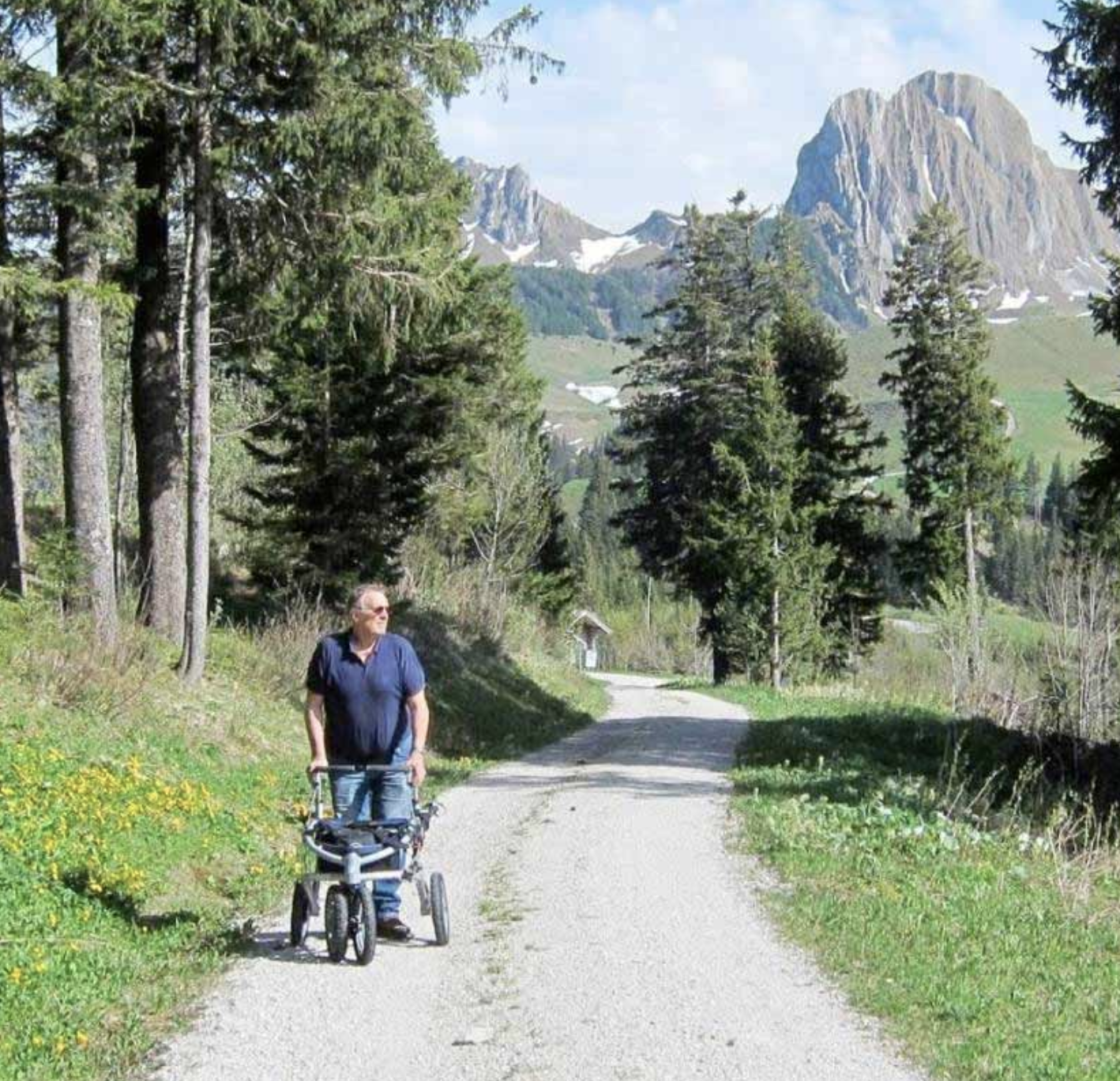 déambulateur tout terrain