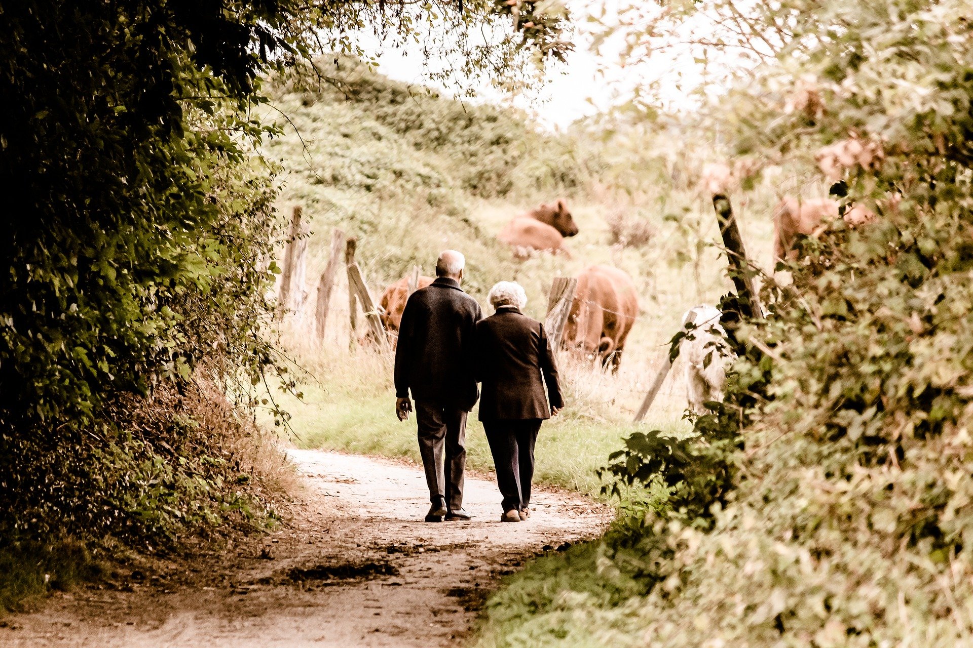 personnes âgées qui marchent en forêt